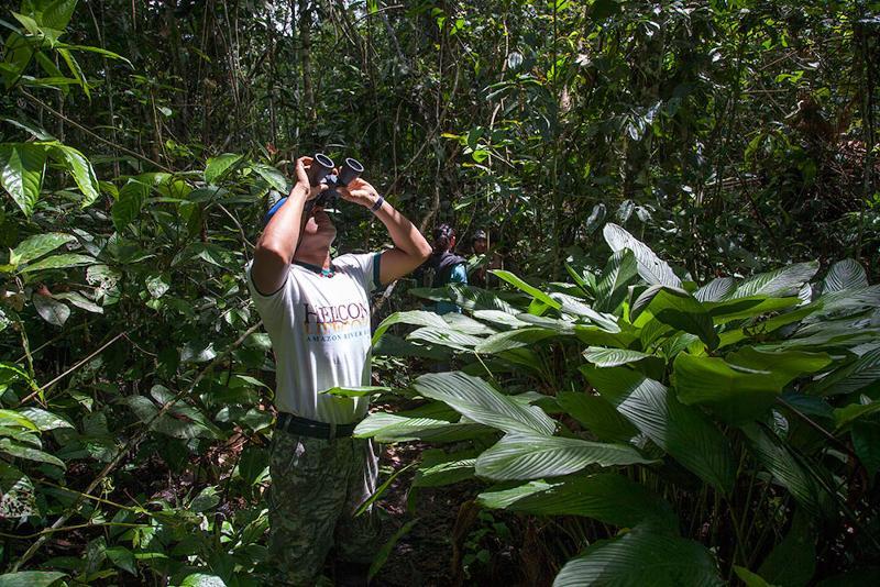 Heliconia Amazon River Lodge Франциско-де-Орельяна Экстерьер фото